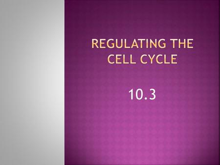 Regulating the Cell Cycle