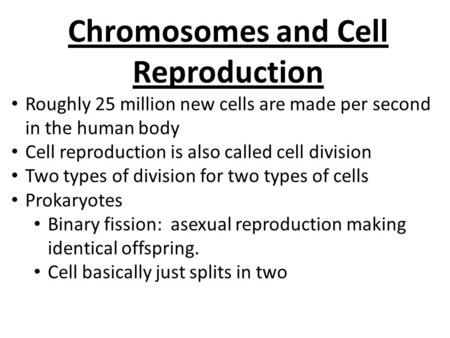 Chromosomes and Cell Reproduction