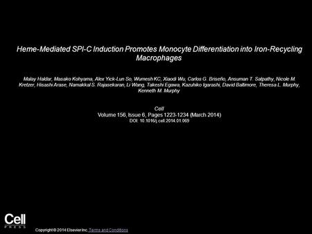 Heme-Mediated SPI-C Induction Promotes Monocyte Differentiation into Iron-Recycling Macrophages Malay Haldar, Masako Kohyama, Alex Yick-Lun So, Wumesh.