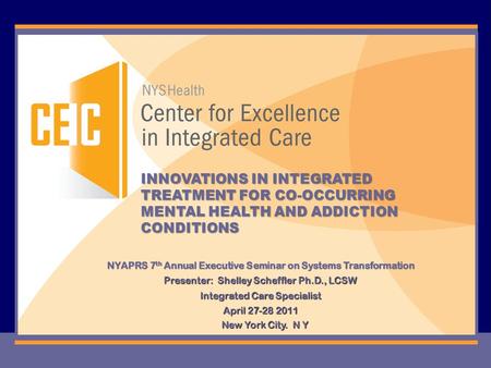 NYAPRS 7 th Annual Executive Seminar on Systems Transformation Presenter: Shelley Scheffler Ph.D., LCSW Integrated Care Specialist April 27-28 2011 New.