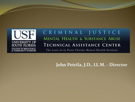 John Petrila, J.D., LL.M. - Director. When: Florida Legislature created the Florida Criminal Justice Mental Health & Substance Abuse Technical Assistance.