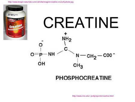 CREATINE