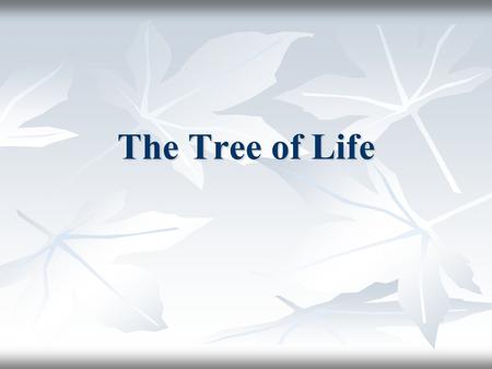 The Tree of Life. Questions 6.5 Billion Humans 6.5 Billion Humans Who were the first modern people in Africa? Who were the first modern people in Africa?