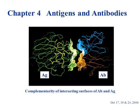 Chapter 4 Antigens and Antibodies