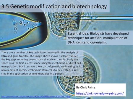 3.5 Genetic modification and biotechnology