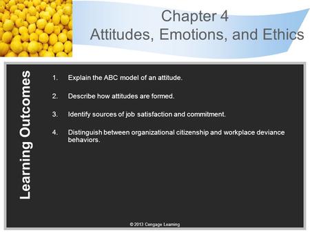 Chapter 4 Attitudes, Emotions, and Ethics