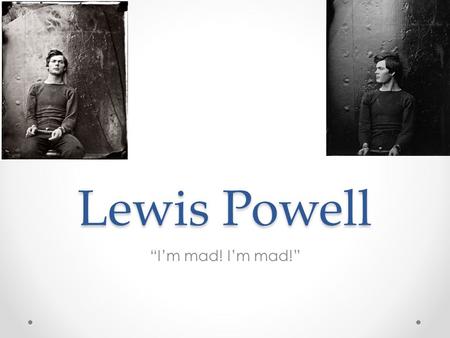 Lewis Powell “I’m mad! I’m mad!”. Background Grew up in Stewart County, Georgia o Youngest of 8 children o Homeschooled by father o Enjoyed working with.