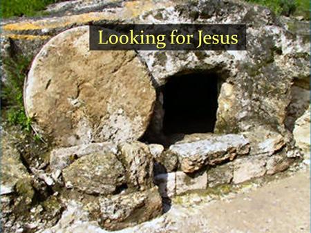 Looking for Jesus. Do not be afraid, for I know that you are looking for Jesus, who was crucified.