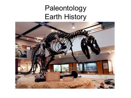 Paleontology Earth History. What is Evolution Genetic change over time Resulting in new species There is more to evolution than Change Trees change, mountains.