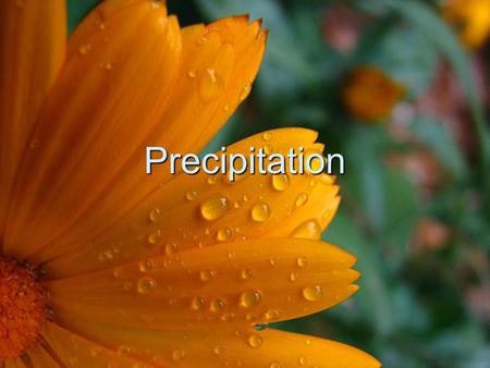 Precipitation.