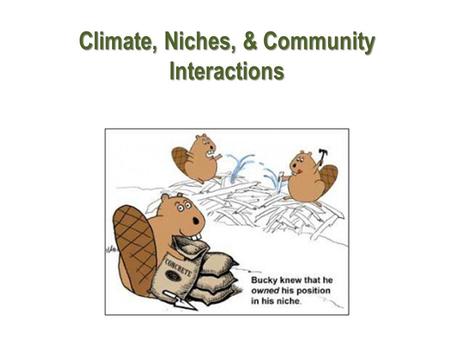 Climate, Niches, & Community Interactions. Weather vs. Climate Weather Climate Weather is the day to day conditions of the earth’s atmosphere. Climate.