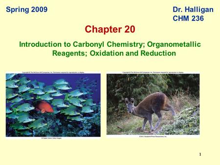 111111 Spring 2009Dr. Halligan CHM 236 Introduction to Carbonyl Chemistry; Organometallic Reagents; Oxidation and Reduction Chapter 20.