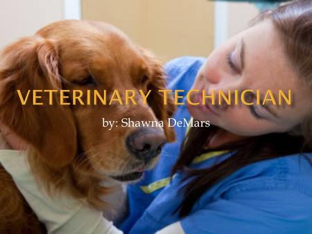 By: Shawna DeMars.  Working with animals  Gain trust from many people  Being a part of something you love.