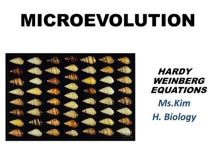 HARDY WEINBERG EQUATIONS