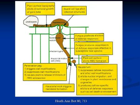 Heath Ann Bot 80, 713.
