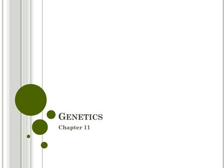 G ENETICS Chapter 11. 1. E XPLAIN WHY M ENDEL ’ S EXPERIMENTS WERE AN IMPORTANT DISCOVERY IN SCIENCE. Inheritance… What is that? Something that gets passed.