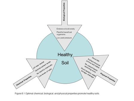 PH near neutral Optimal nutrient levels No harmful chemicals, Low levels of salts Good tilth Surface structure porous and stable No subsoil layers restricting.