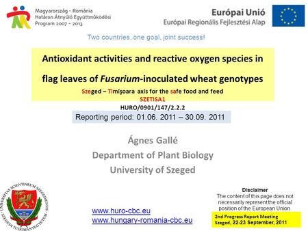 Antioxidant activities and reactive oxygen species in flag leaves of Fusarium-inoculated wheat genotypes Szeged – Timişoara axis for the safe food and.