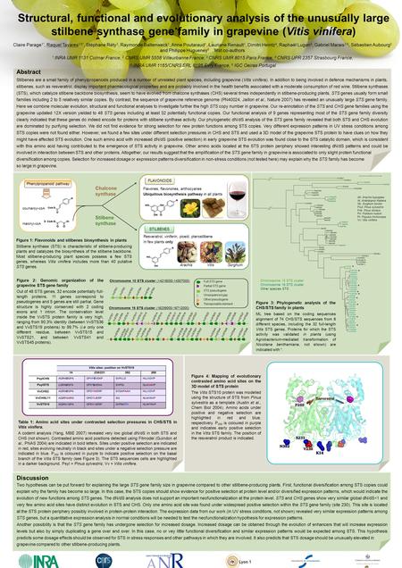 Structural, functional and evolutionary analysis of the unusually large stilbene synthase gene family in grapevine (Vitis vinifera) Claire Parage 1*, Raquel.