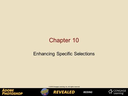 Chapter 10 Enhancing Specific Selections. Chapter Lessons Create an alpha channel Isolate an object Erase areas in an image to enhance appearance Use.