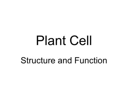 Structure and Function