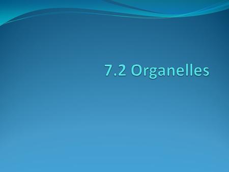 Important Tips: Organelles-little organs Structures that carry out a certain function Cytosol-liquid portion of the cell Mostly water Many metabolic reactions.