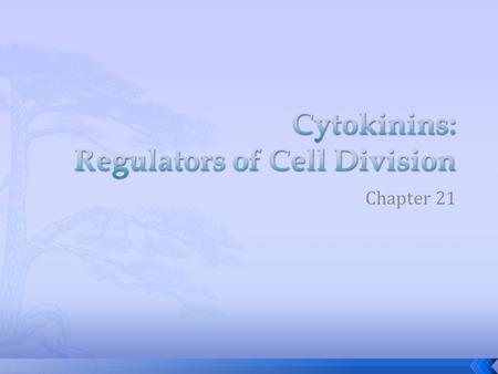 Cytokinins: Regulators of Cell Division