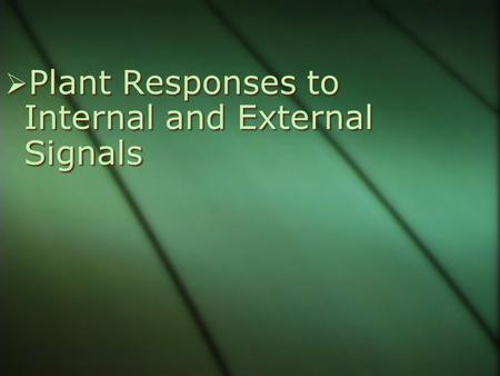 Plant Responses to Internal and External Signals