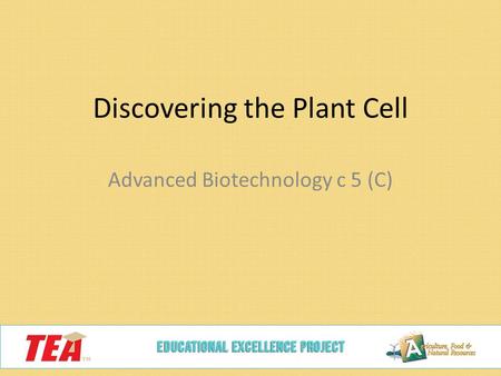 Discovering the Plant Cell