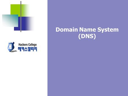 Domain Name System (DNS). Network Service -2 What Is a Domain Namespace? Root Domain Subdomains Second-Level Domain Top-Level Domain FQDN: server1.sales.south.nwtraders.com.