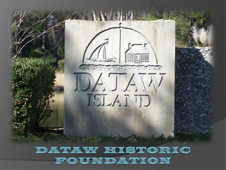 Lew “SeaJay” Bayne Your Divers Direct descendant of Dataw's original farmers. First boat salvage at the age of 13. Scuba diving since 1986. Owner of Deep.