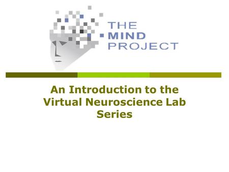 An Introduction to the Virtual Neuroscience Lab Series.