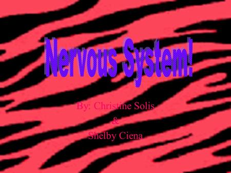 By: Christine Solis & Shelby Ciena. WHY IS IT IMPORTANT!?! It controls and regulates all bodily functions, such as your heart and lungs, digestion and.