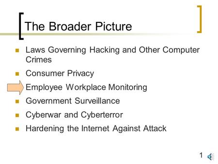 1 The Broader Picture Laws Governing Hacking and Other Computer Crimes Consumer Privacy Employee Workplace Monitoring Government Surveillance Cyberwar.