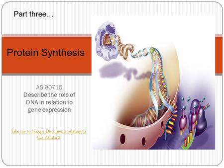 Take me to NZQA Documents relating to this standard AS 90715 Describe the role of DNA in relation to gene expression Protein Synthesis Part three…