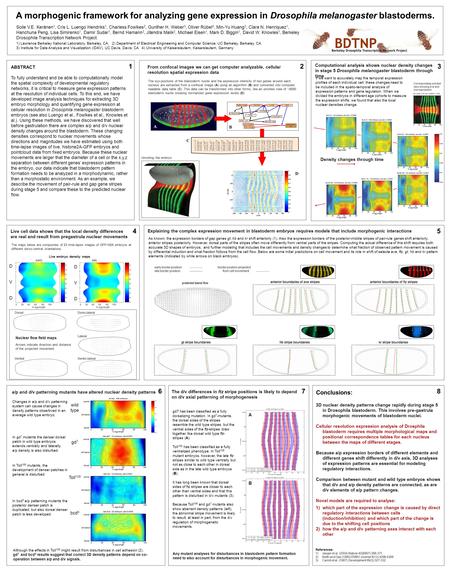 ABSTRACT To fully understand and be able to computationally model the spatial complexity of developmental regulatory networks, it is critical to measure.