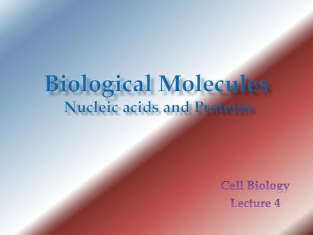 Nucleic acids Informational macromolecule Deoxyribonucleic acid (DNA) is the genetic material Ribonucleic acid (RNA) – Messenger RNA (mRNA) carries information.