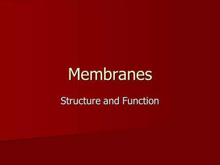 Structure and Function