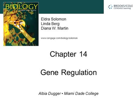 Chapter 14 Gene Regulation