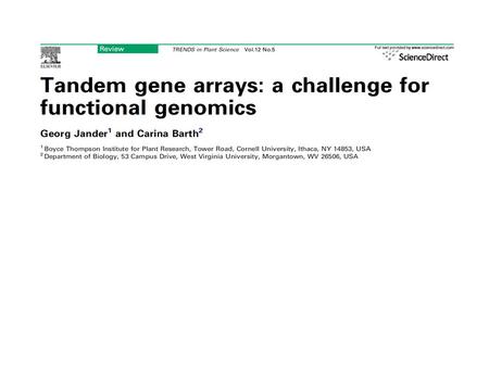 Forward genetics and reverse genetics