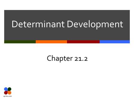 Determinant Development