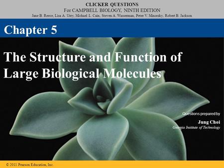 The Structure and Function of Large Biological Molecules