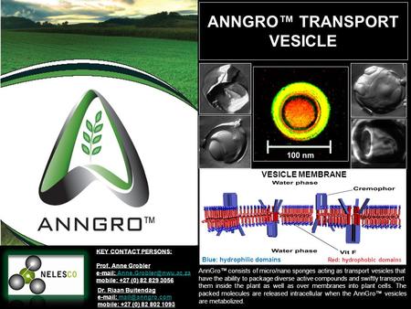 KEY CONTACT PERSONS: Prof. Anne Grobler   mobile: +27 (0) 82 829 3056 ANNGRO™ TRANSPORT VESICLE Dr.