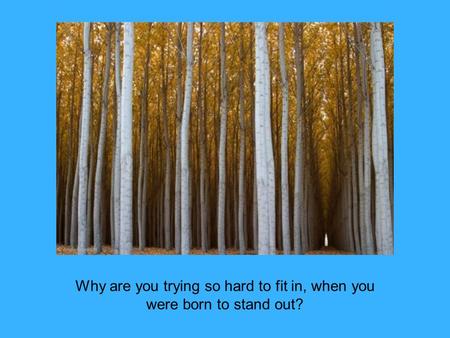 Why are you trying so hard to fit in, when you were born to stand out?