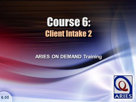 Course 6: Client Intake 2 ARIES ON DEMAND Training 6.00.