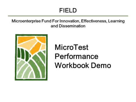 FIELD Microenterprise Fund For Innovation, Effectiveness, Learning and Dissemination MicroTest Performance Workbook Demo.