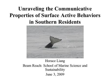 Unraveling the Communicative Properties of Surface Active Behaviors in Southern Residents Horace Liang Beam Reach: School of Marine Science and Sustainability.