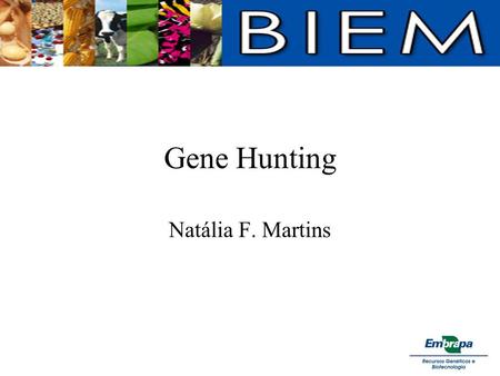 Gene Hunting Natália F. Martins. Resumo Motivação Estratégia Automatização (?) Exemplos Referências.