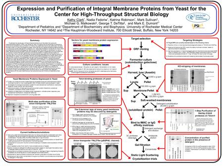 Expression and Purification of Integral Membrane Proteins from Yeast for the Center for High-Throughput Structural Biology Kathy Clark *, Nadia Fedoriw.