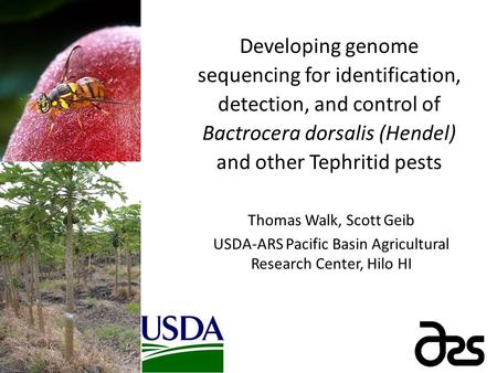 Developing genome sequencing for identification, detection, and control of Bactrocera dorsalis (Hendel) and other Tephritid pests Thomas Walk, Scott Geib.